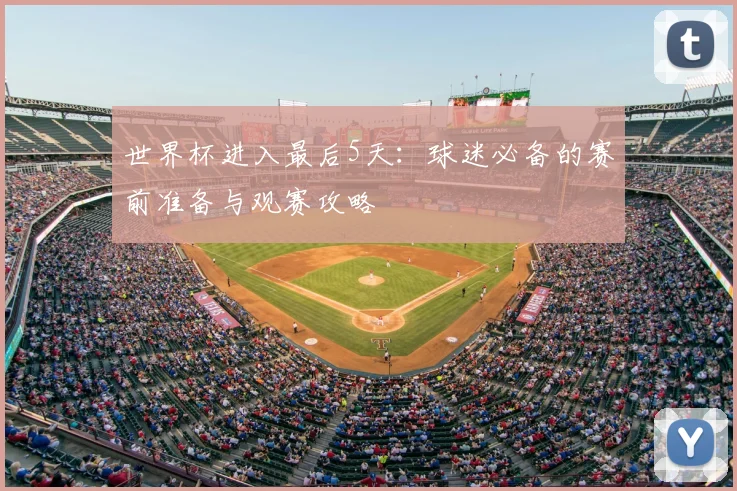 世界杯进入最后5天：球迷必备的赛前准备与观赛攻略