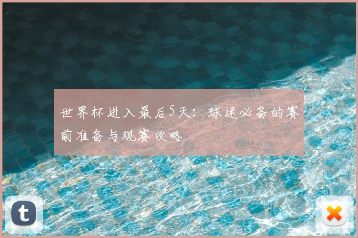 世界杯进入最后5天：球迷必备的赛前准备与观赛攻略