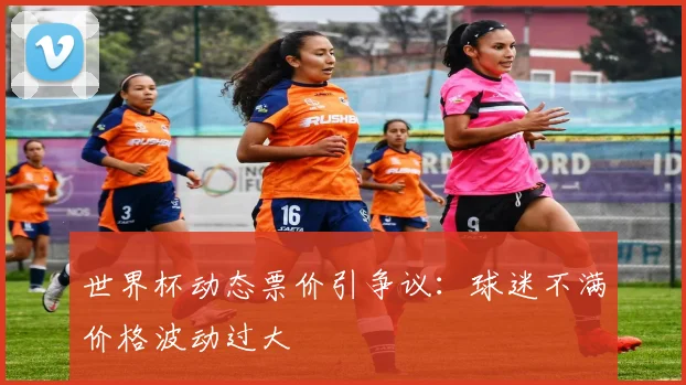 世界杯动态票价引争议：球迷不满价格波动过大